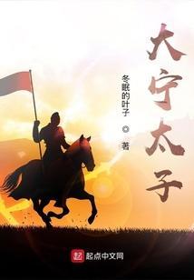 这个太子有点怪