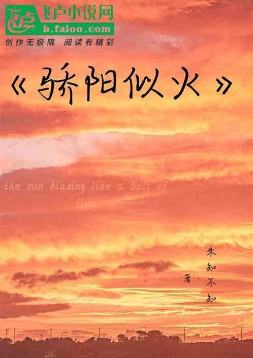 骄阳似火电视剧免费观看
