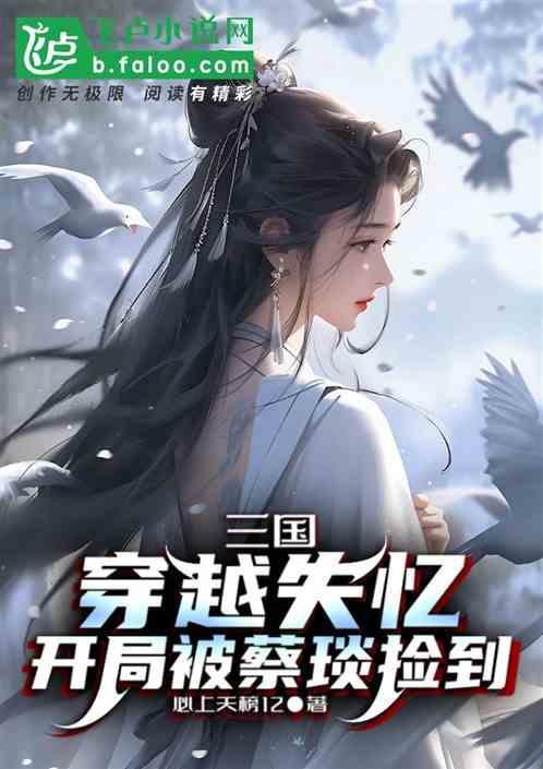 穿越三国娶蔡琰
