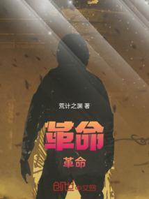 革命这个词是什么意思