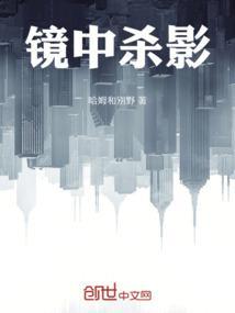 镜中人影