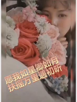 愿你如星卿似月什么意思