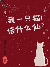 我家一只猫的