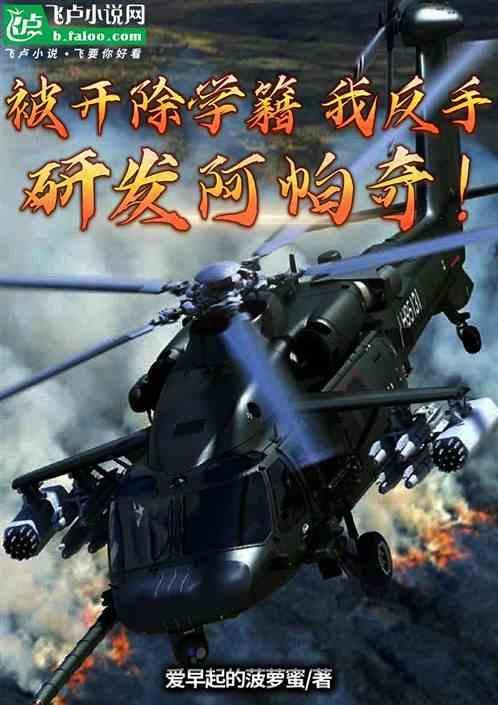 阿帕奇有没有被击落过