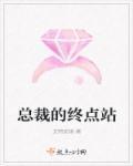 总裁的包