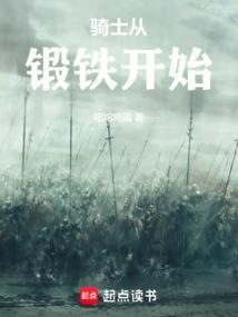 从骑士到国王
