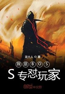 我是boss家教ds游戏我是老大