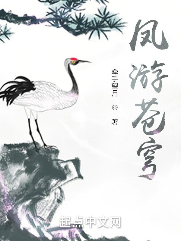 凤御苍穹