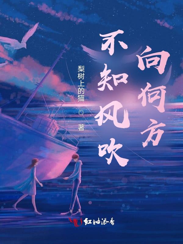 我不知道风往哪吹