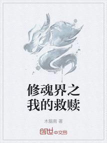 魂修txt