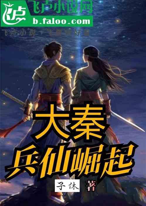 大秦小兵系统