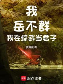 我是岳不群阅读