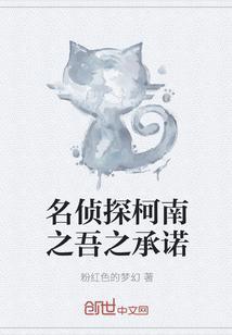 阮白和慕少凌全文阅读免费