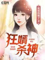 狂神女婿