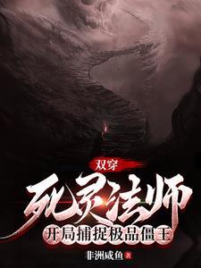 有没有主角是死灵法师的
