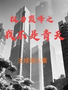 权力巅峰之我不是青天1034