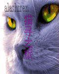 找猫游戏