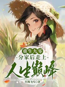 重生九零小