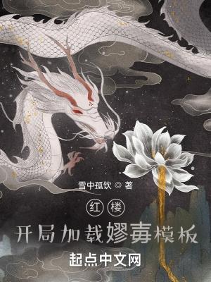 红楼开局加载嫪毐模板篱笆好文学