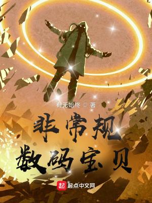 数码宝贝 本