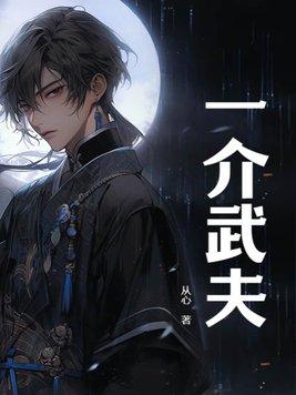 一介武夫代表数字几