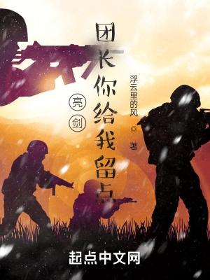 亮剑你啊总能给我整点新花样