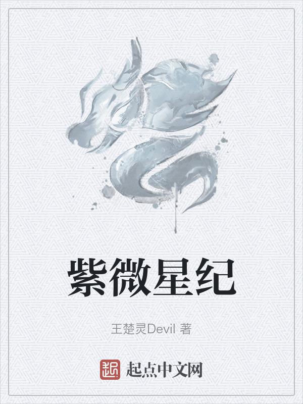 紫微星纪