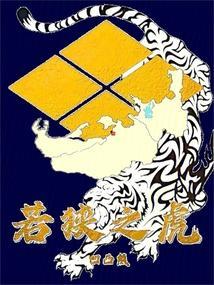 日本战国：若狭之虎的崛起