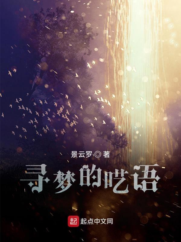 寻梦的呓语