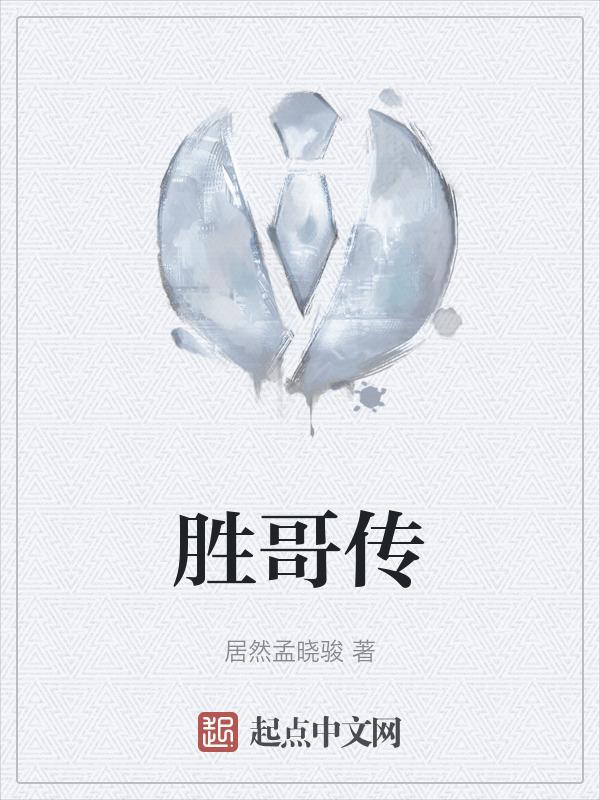 胜哥传