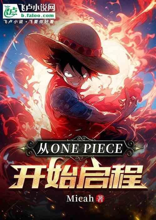 海贼王之白色新星