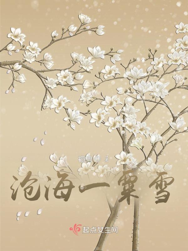 沧海一粟雪