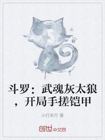 斗罗：武魂灰太狼，开局手搓铠甲
