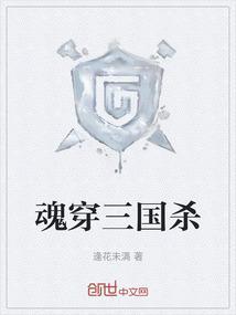 魂穿三国杀