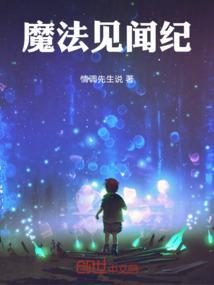 魔法见闻纪