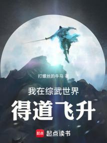 我在综武世界得道飞升