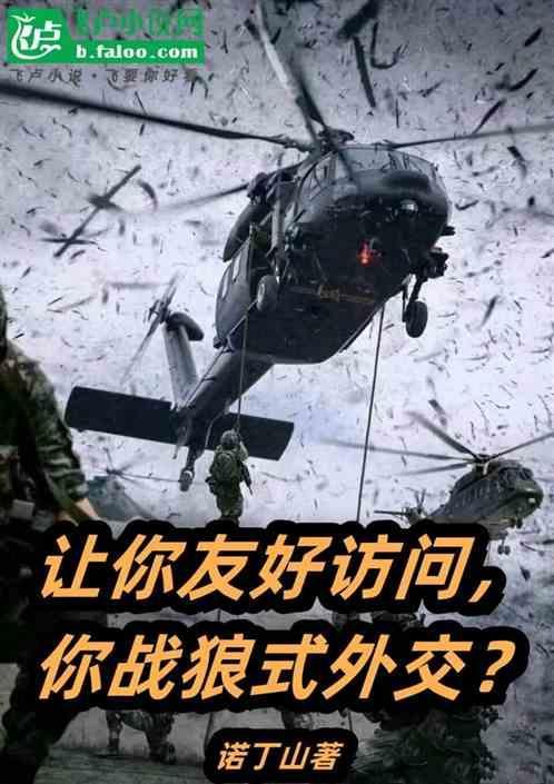 让你友好访问，你战狼式外交？