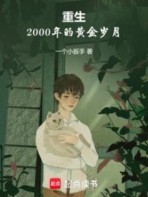 重生：2000年的黄金岁月